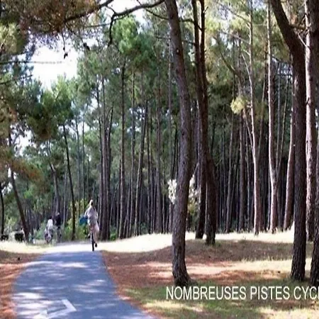 House La Palmyre - Maison - Calme Et Campagne - Proximite Plage Et Foret- * Les Mathes