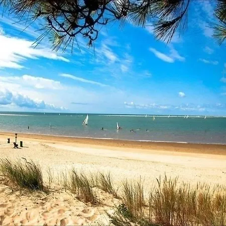 House La Palmyre - Maison - Calme Et Campagne - Proximite Plage Et Foret- *