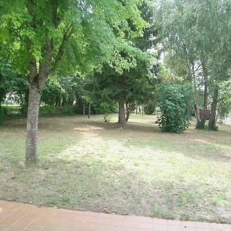 House La Palmyre - Maison - Calme Et Campagne - Proximite Plage Et Foret- Hébergement de vacances
